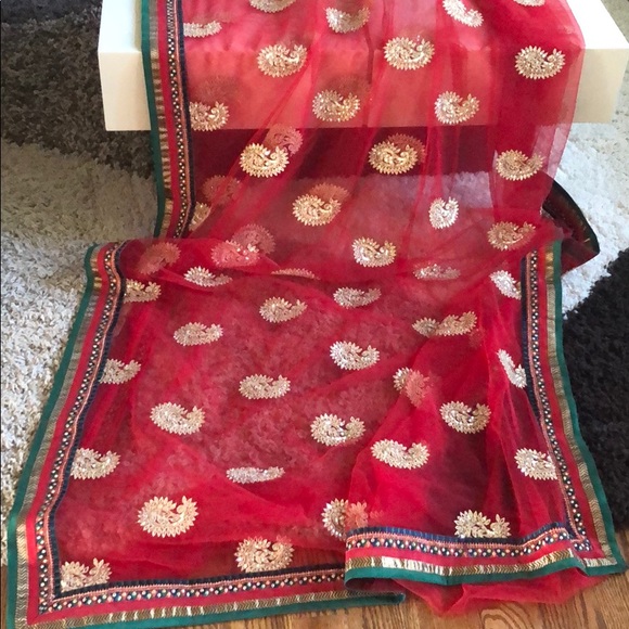 Final Sale- Indian Net Saree - Picture 1 of 8